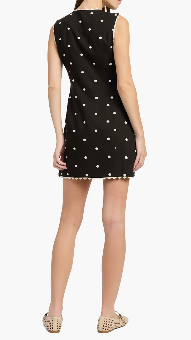 heather embroidered mini dress
