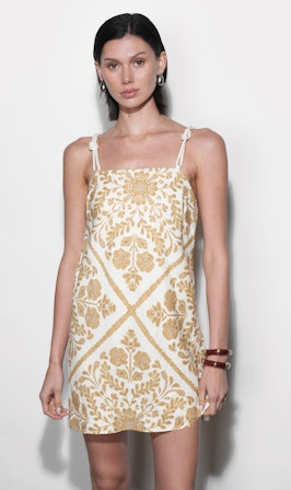 Nadine Scarf Print Mini Dress