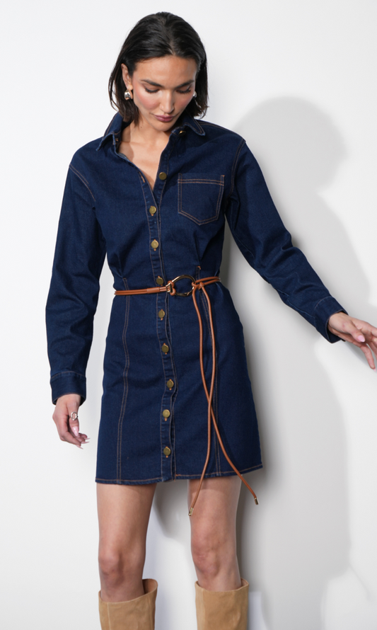 Calista Button Up Denim Mini Shirt Dress