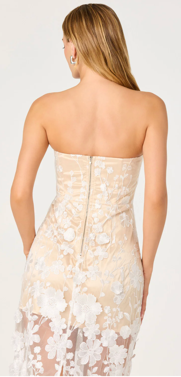 Tanisha Dress